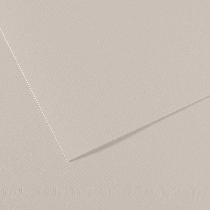 Canson Mi-Teintes Papier 160g/m² DIN A4 120 Pastellgrau