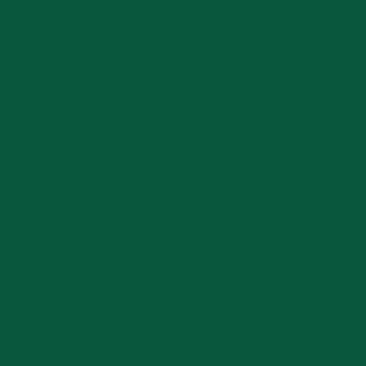 CAMPUS Acrylic Acrylfarbe 819 Saftgrün 500ml