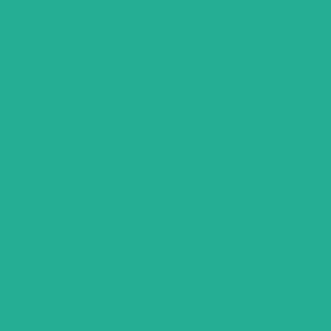 CAMPUS Acrylic Acrylfarbe 341 Türkis 500ml