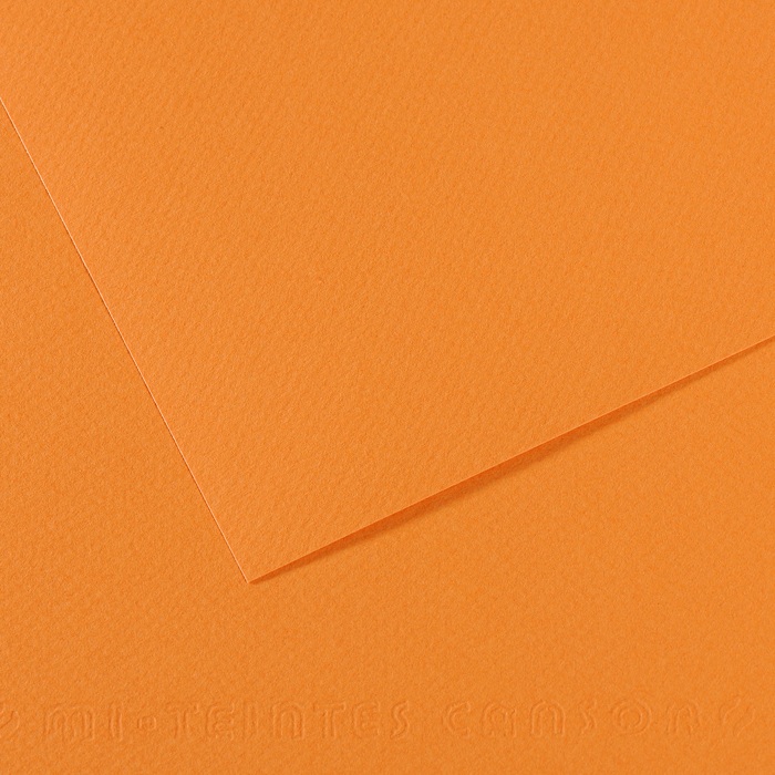 Canson Mi-Teintes Papier 160g/m² DIN A4 384 Ocker