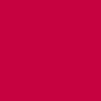 CAMPUS Acrylic Acrylfarbe 617 Karmin 500ml