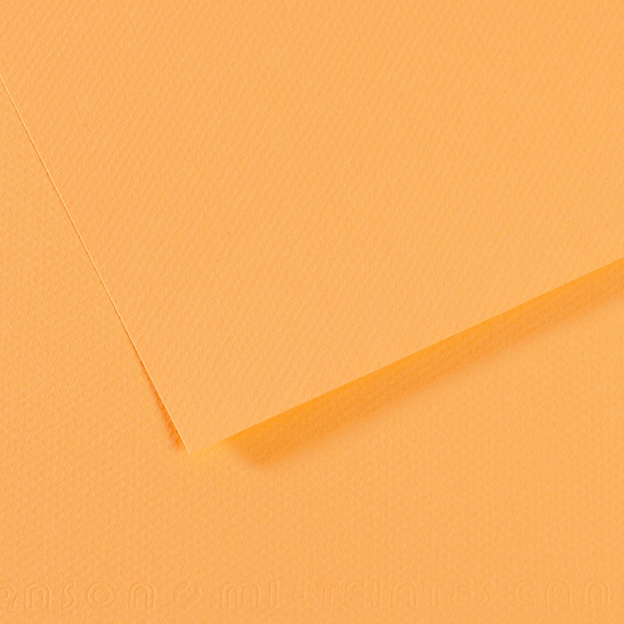 Canson Mi-Teintes Papier 160g/m² DIN A4 470 Chamois