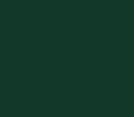 Sennelier Abstract Acrylfarbe 60 ml MATT Umbra gebrannt