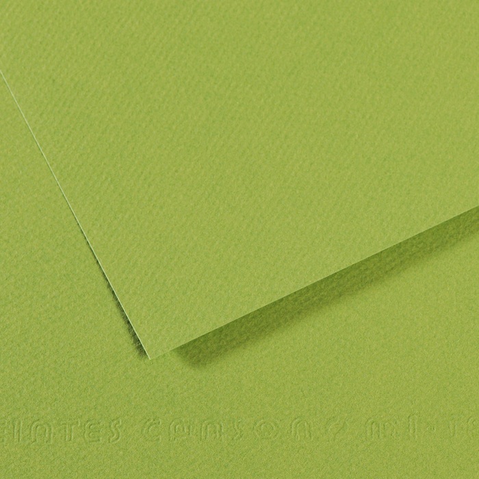 Canson Mi-Teintes Papier 160g/m² DIN A4 475 Grün