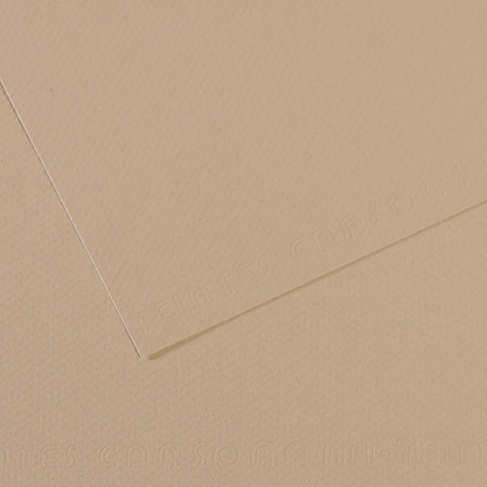 Canson Mi-Teintes Papier 160g/m² DIN A4 343 Hellgrau