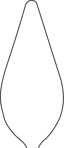 Malspachtel 2936