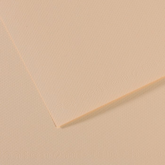 Canson Mi-Teintes Papier 160g/m² DIN A4 112 Pastellbeige