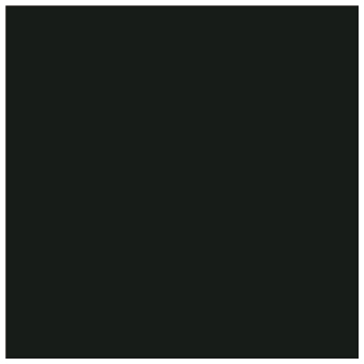 CAMPUS Acrylic Acrylfarbe 755 Elfenbeinschwarz 500ml