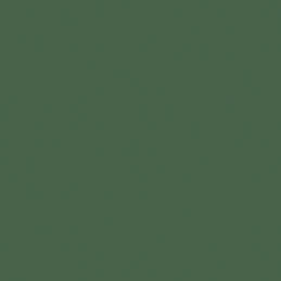Gallerie Standard Passepartoutkarton forest green