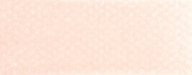 PanPastel 9ml 27408 Sienna gebr. hell