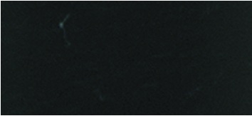 Filzmeterware 45cm x 1m gerollt schwarz