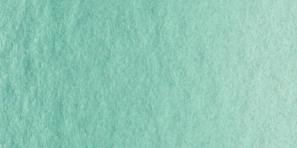Lukas 1862 Aquarellfarben 1/2N 1154 PG 2 - Chromoxidgrün feurig