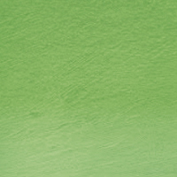 Derwent Tinted Charcoal TC15-Green Moss 212301679