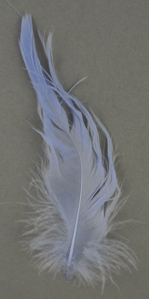 Dekofedern 5-10cm 5g hellblau