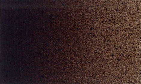 Rembrandt Ölfarbe 40ml 426 PG 3 - Transparentoxidbraun