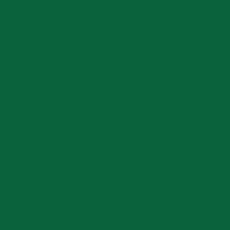 CAMPUS Acrylic Acrylfarbe 809 Hookersgrün 500ml