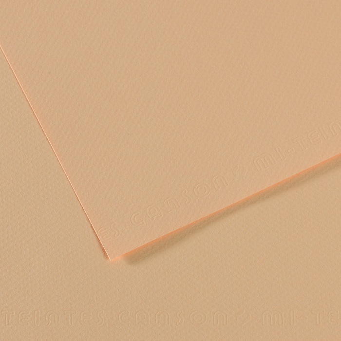 Canson Mi-Teintes Papier 160g/m² DIN A4 350 Hautfarben