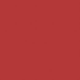Gallerie Standard Passepartoutkarton red