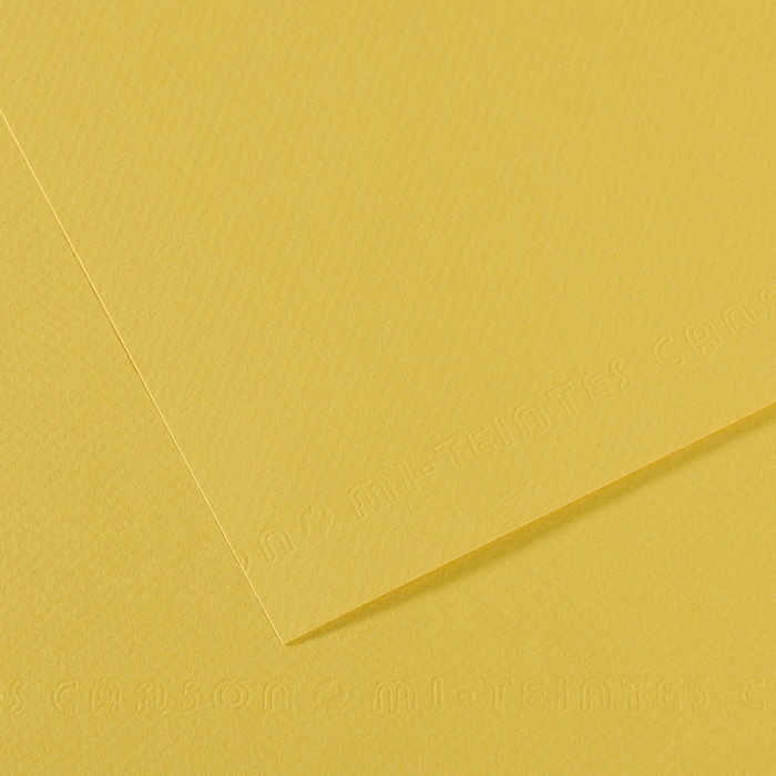 Canson Mi-Teintes Papier 160g/m² DIN A4 107 Anis