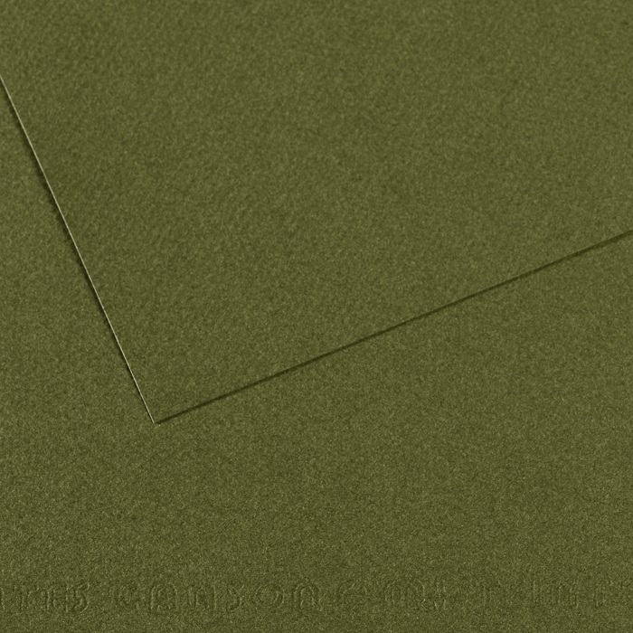 Canson Mi-Teintes Papier 160g/m² DIN A4 448 Dunkelgrün