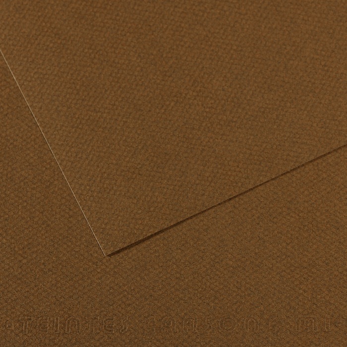 Canson Mi-Teintes Papier 160g/m² DIN A4 501 Dunkelbraun