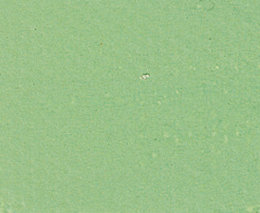 Sennelier Ei-Tempera 21 ml, 131001847, PG - 3 Veronesegrün Substitut