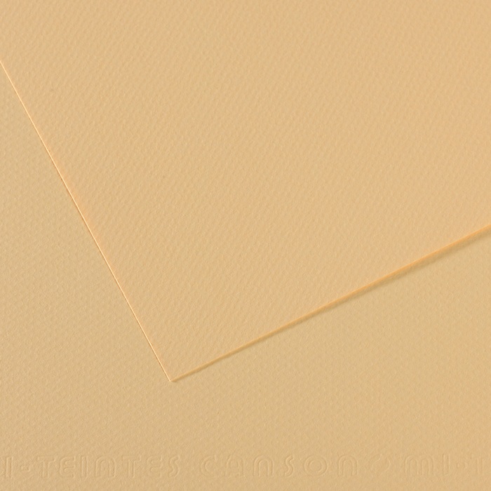 Canson Mi-Teintes Papier 160g/m² DIN A4 407 Elfenbein