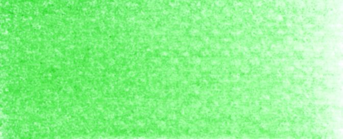 PanPastel 9ml 26405 Permanentgrün