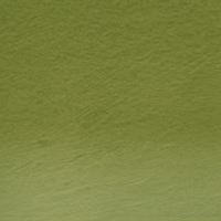 Derwent Tinted Charcoal TC16-Dark Moss 212301680