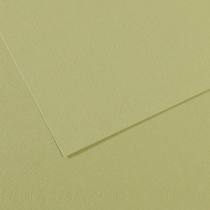 Canson Mi-Teintes Papier 160g/m² DIN A4 480 Hellgrün