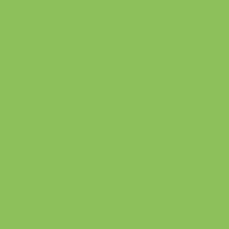 CAMPUS Acrylic Acrylfarbe 895 Fluogrün 500ml