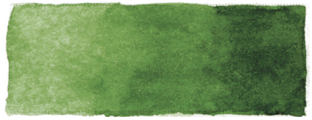 White Nights Aquarellfarbe Grün, 1/1 Näpfchen 80725