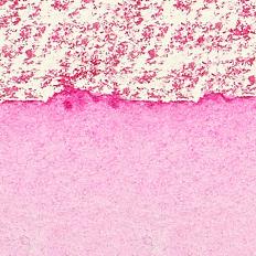 W&N Aquarell Stick QUINACRIDONE MAGENTA, PG 3 - 0110545