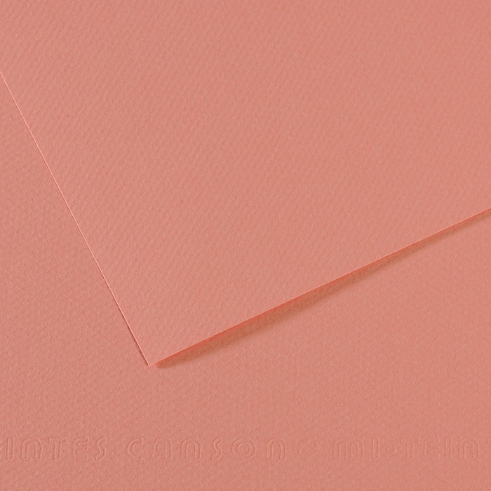 Canson Mi-Teintes Papier 160g/m² DIN A4 352 Rosa