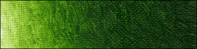 Old Holland Ölfarbe 40ml Sapgreen Lake Extra