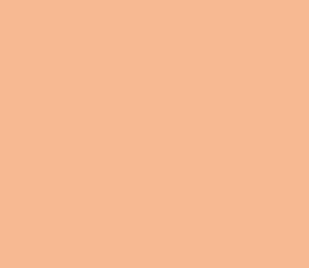 Sennelier Abstract Acrylfarbe 60 ml MATT Hautfarbe