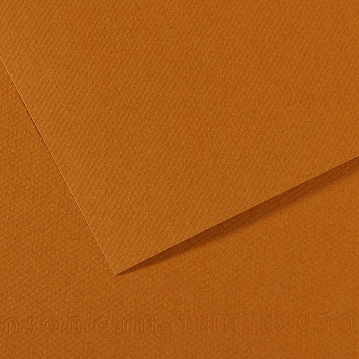 Canson Mi-Teintes Papier 160g/m² DIN A4 502 Hellbraun