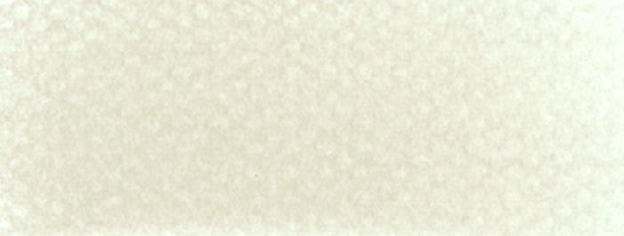 PanPastel 9ml 27808 Umbra natur hell