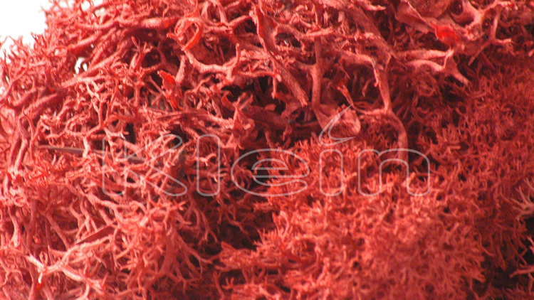 Islandmoos Tüte ca. 50g rot