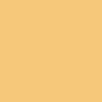 CAMPUS Acrylic Acrylfarbe 007 Pastellorange 100ml