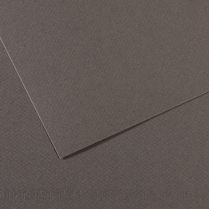 Canson Mi-Teintes Papier 160g/m² DIN A4 345 Dunkelgrau