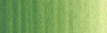 Winsor & Newton Winton Ölfarbe 200ml 637 Grüne Erde