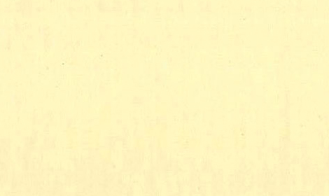 Rembrandt Ölfarbe 40ml 117 PG 1 - Zinkweiss (Leinöl)