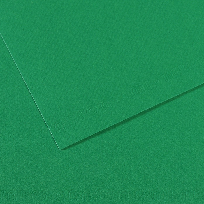 Canson Mi-Teintes Papier 160g/m² DIN A4 575 Grasgrün