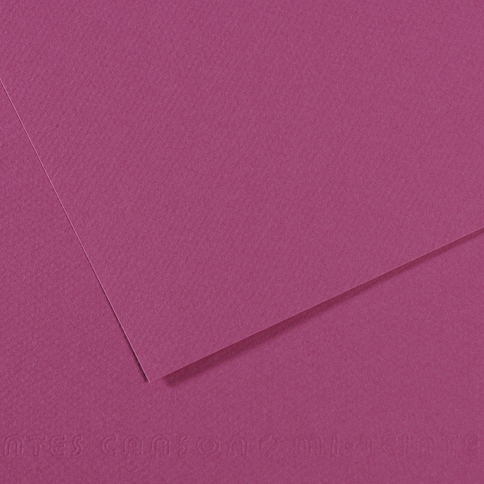 Canson Mi-Teintes Papier 160g/m² DIN A4 507 Violett