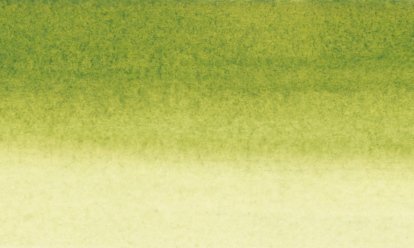 Sennelier Schellacktusche 30 ml N134010 813 Olivengrün
