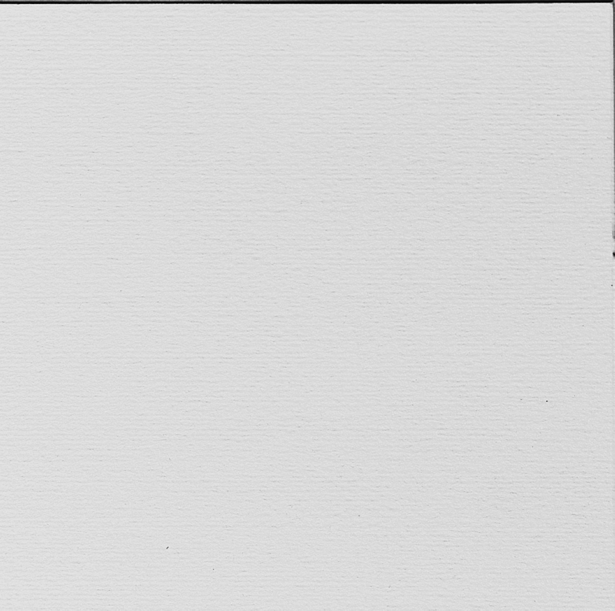 Löschpapier weiss 100g/m² 50 x 66cm