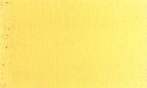 Rembrandt Ölfarbe 40ml 222 PG 2 - Neapelgelb hell