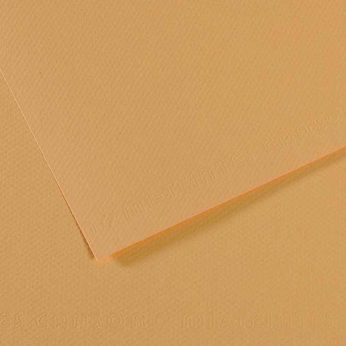 Canson Mi-Teintes Papier 160g/m² DIN A4 340 Antik