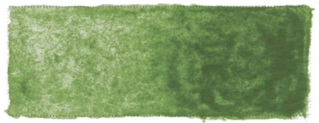 White Nights Aquarellfarbe Chromoxidgrün, 1/1 Näpfchen 80704